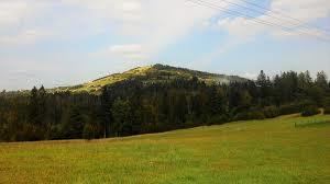 Ochodzita